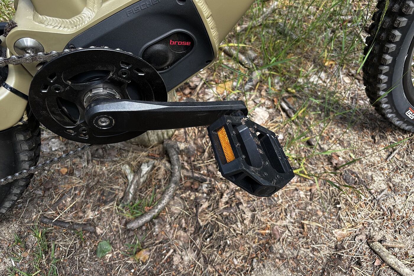 Pedale Pedale an einem Mountainbike.