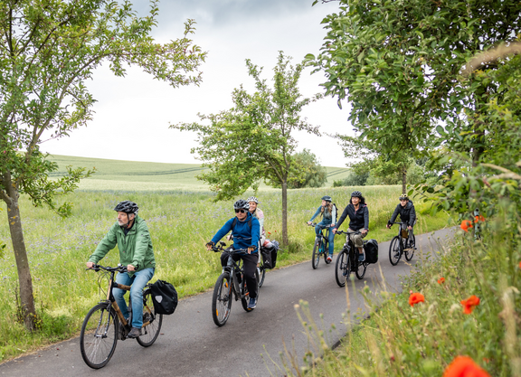 Gruppe Radfahrender auf Radweg zwischen blühenden Wiesen mit Logo ADFC und komoot